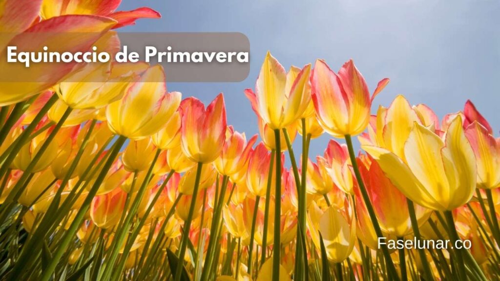 equinoccio-de-primavera-marzo