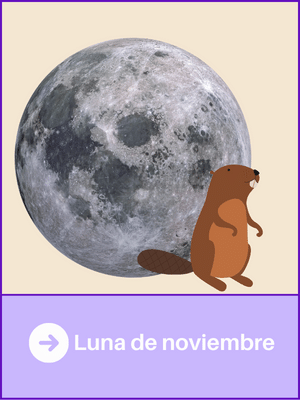 12-lunas-llenas-del-año-noviembre