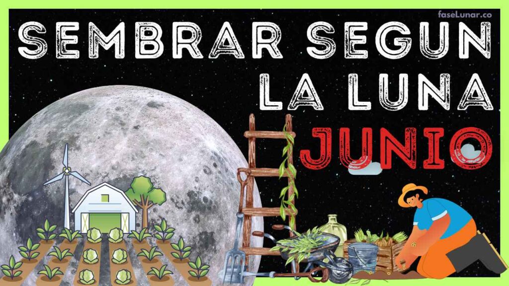Calendario-Lunar-para-SIEMBRA-y-JARDINERÍA-en-JUNIO-2025