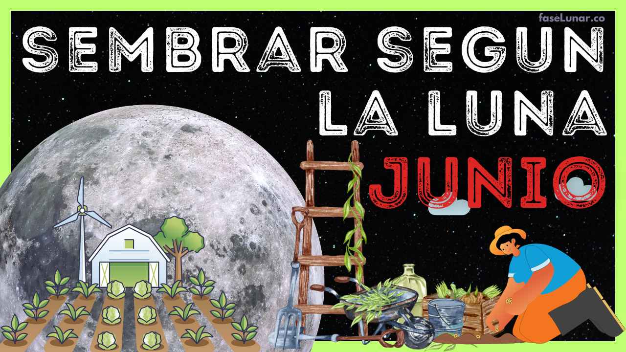 Calendario-Lunar-para-SIEMBRA-y-JARDINERÍA-en-JUNIO-2025