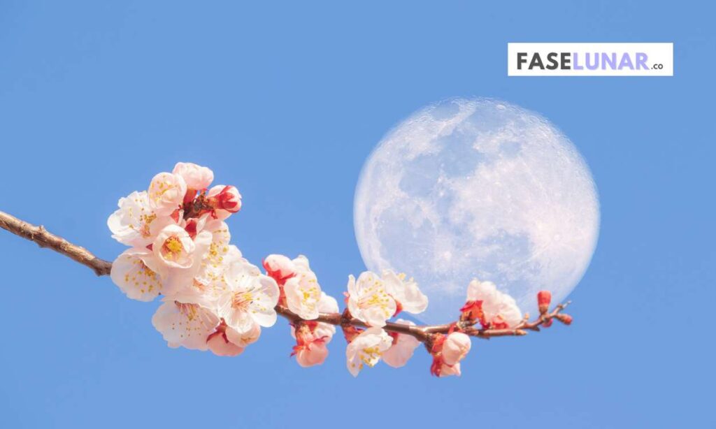 la-luna-de-las-flores-luna-fertil-luna-de-mayo