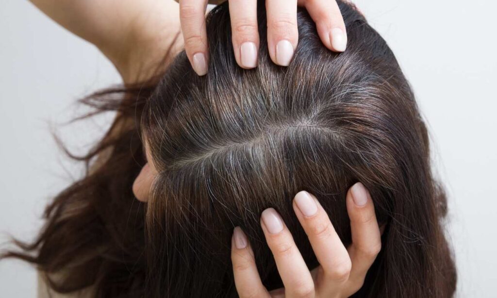 la luna menguante y el corte de cabello (1)