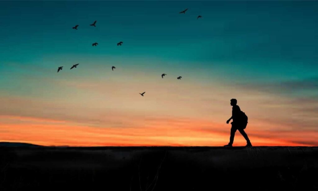 la luna menguante y su energia